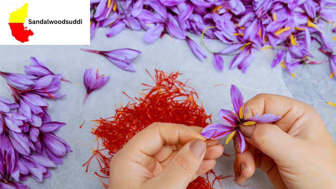 Saffron for Health