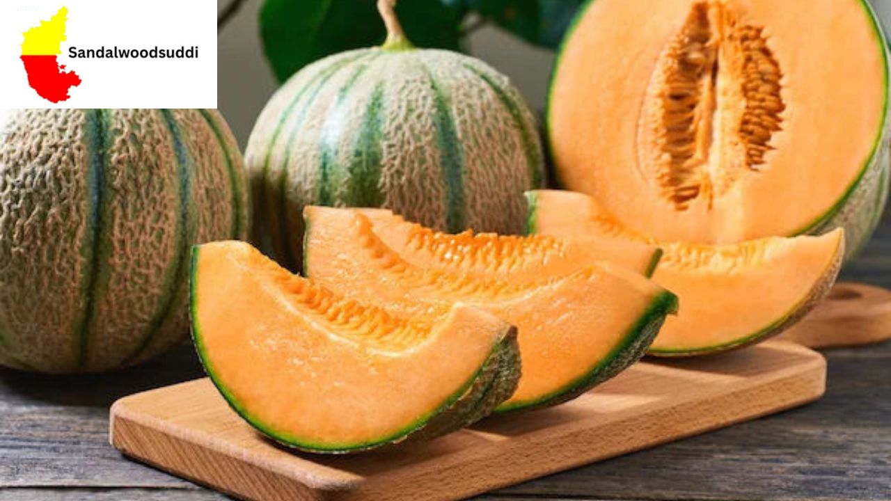watermelon vs muskmelon benefits Kannada