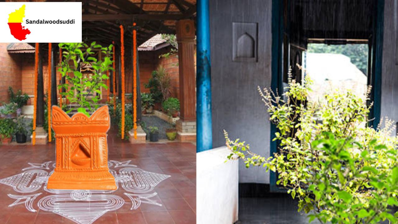 Tulsi Plant Signs at Home