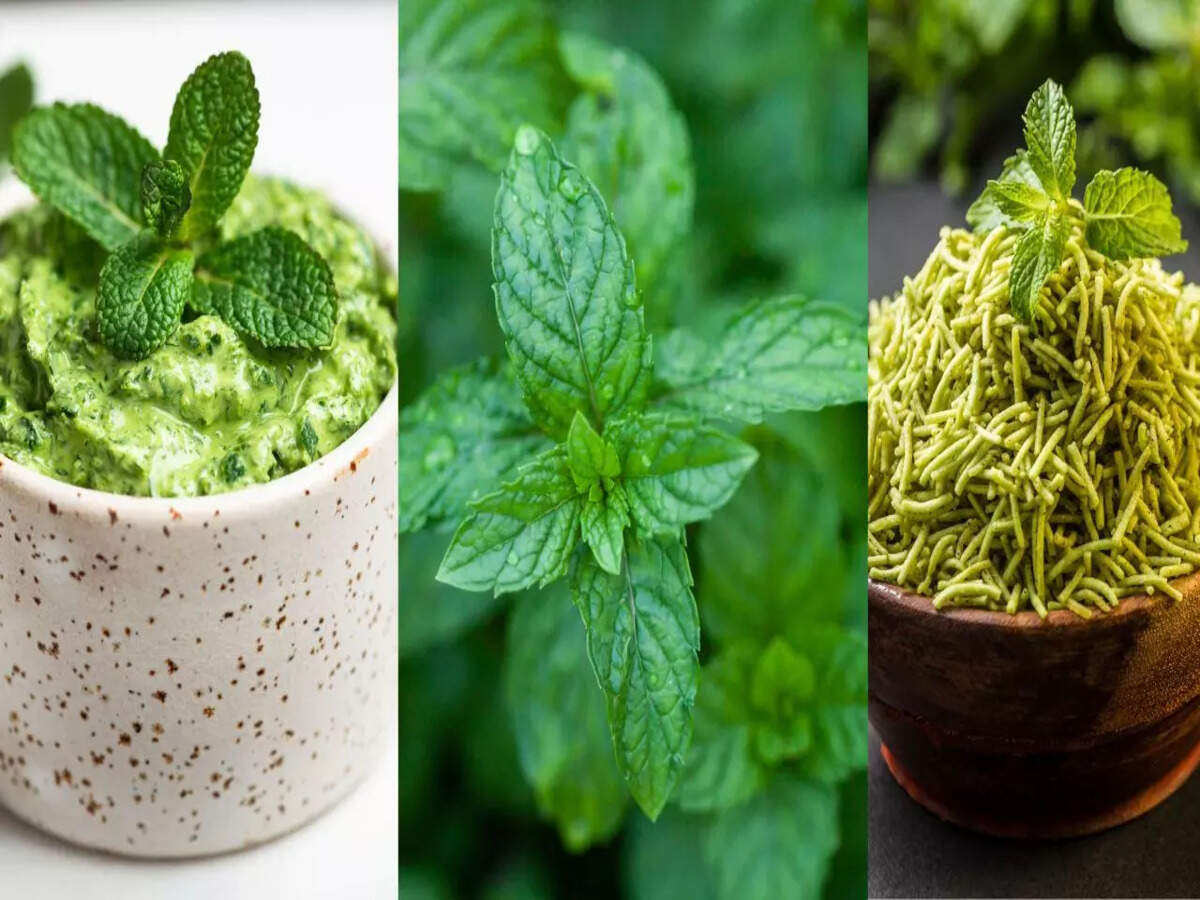 Summer Digestion Problems Remedy