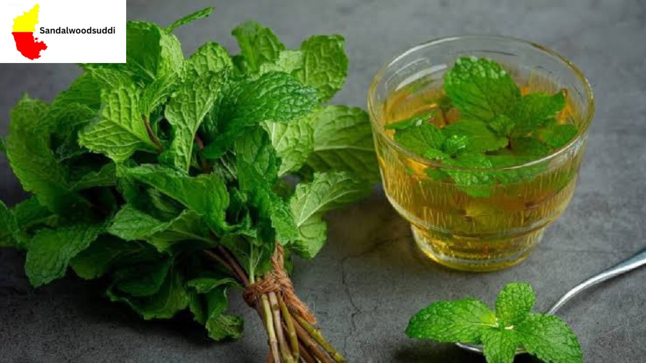 Summer Digestion Problems Remedy