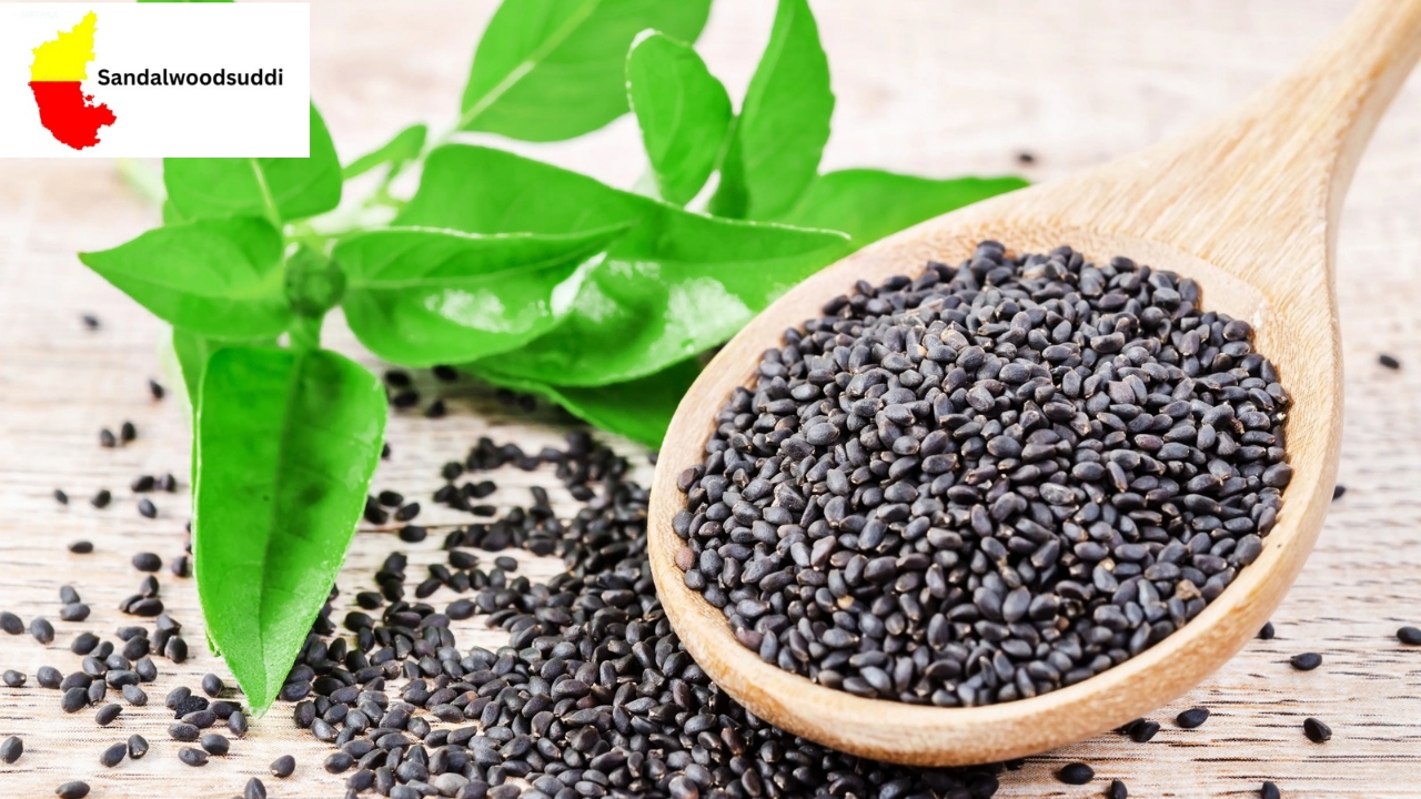 Basil Seeds Benefits