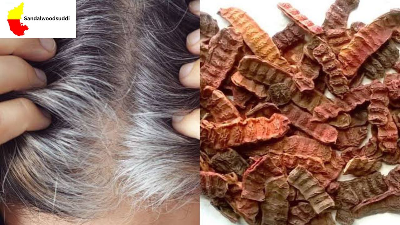 Shikakai for Hair Care