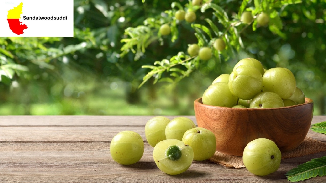 Amla Benefits